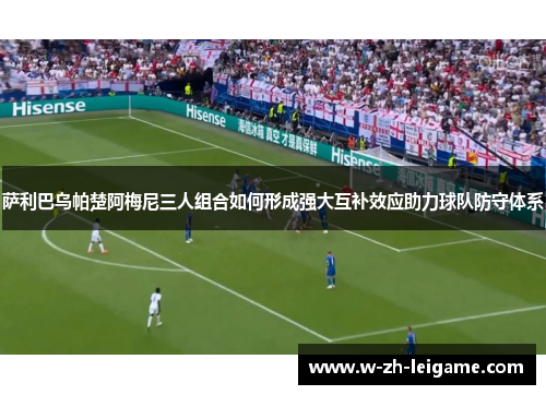 萨利巴乌帕楚阿梅尼三人组合如何形成强大互补效应助力球队防守体系