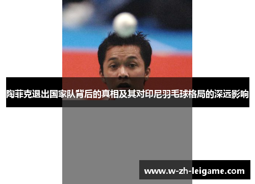 陶菲克退出国家队背后的真相及其对印尼羽毛球格局的深远影响