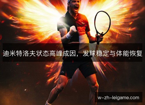 迪米特洛夫状态高峰成因，发球稳定与体能恢复